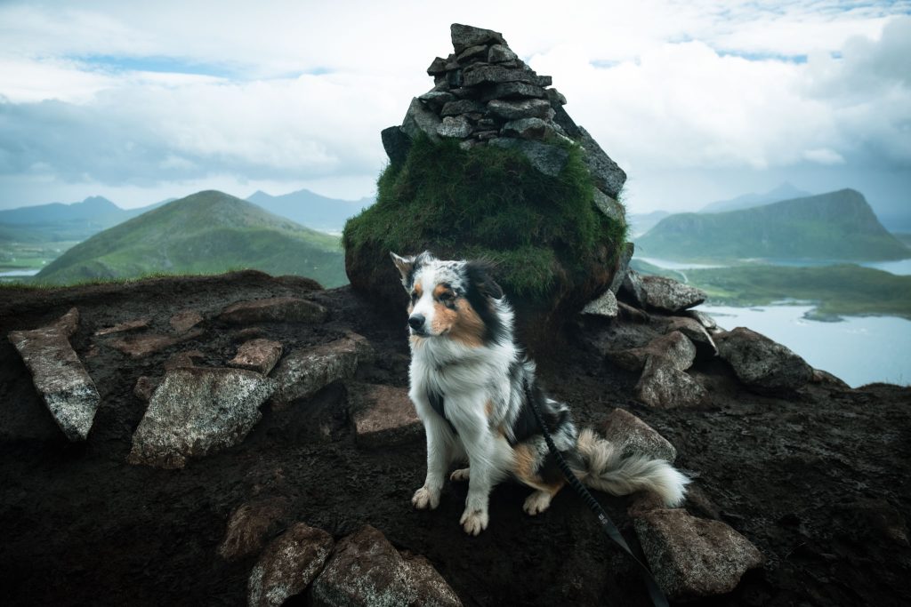 Mannen Hike Lofoten Islands 11 1