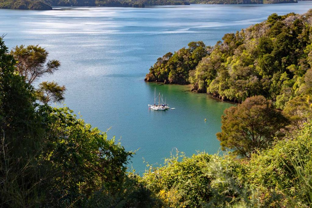 Marlborough Sounds 11