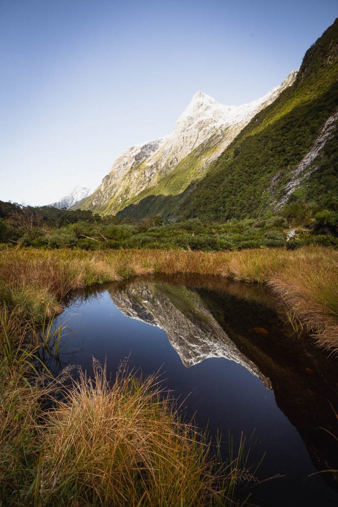 The Ultimate Guide To Backpacking the Milford Track in New Zealand 15 Milford Track 30