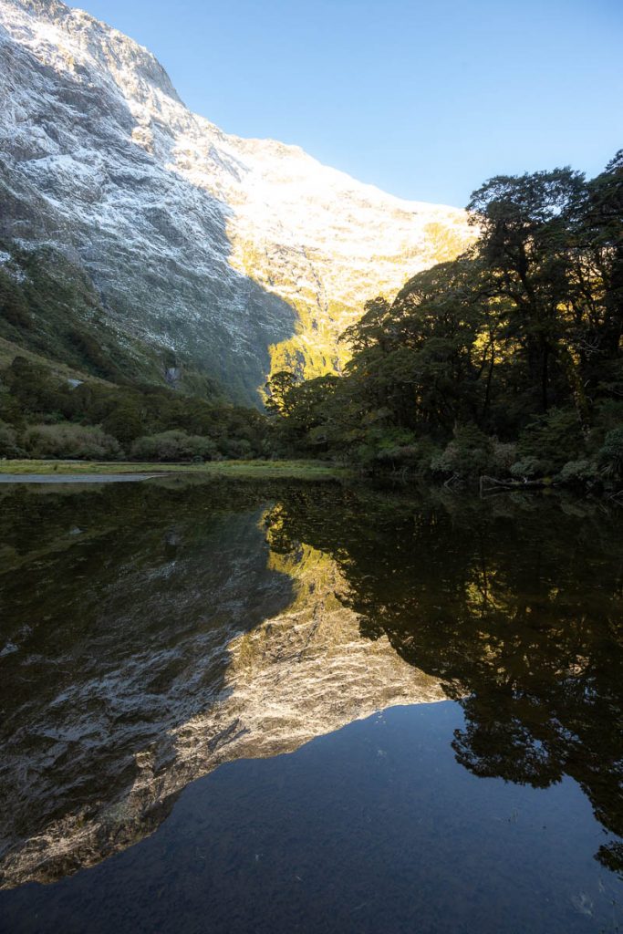 The Ultimate Guide To Backpacking the Milford Track in New Zealand 17 Milford Track 34