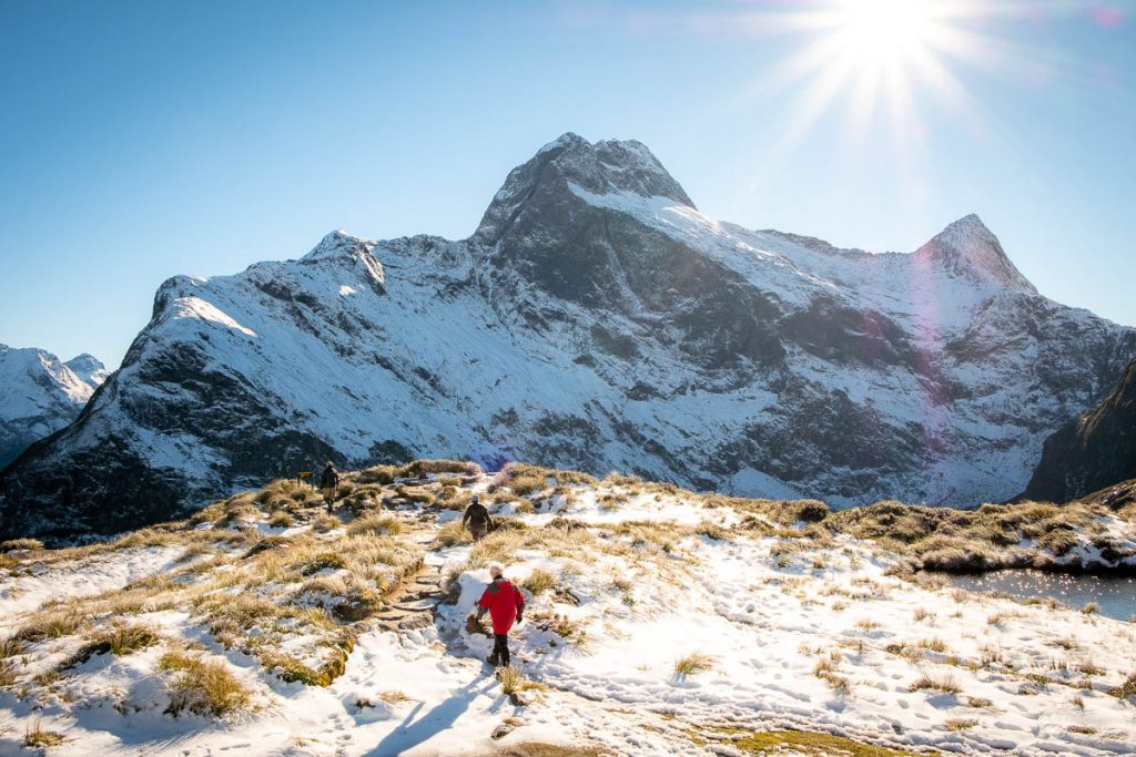 The Ultimate Guide To Backpacking the Milford Track in New Zealand 21 Milford Track 48