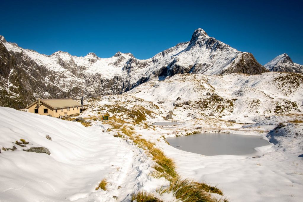 The Ultimate Guide To Backpacking the Milford Track in New Zealand 23 Milford Track 55