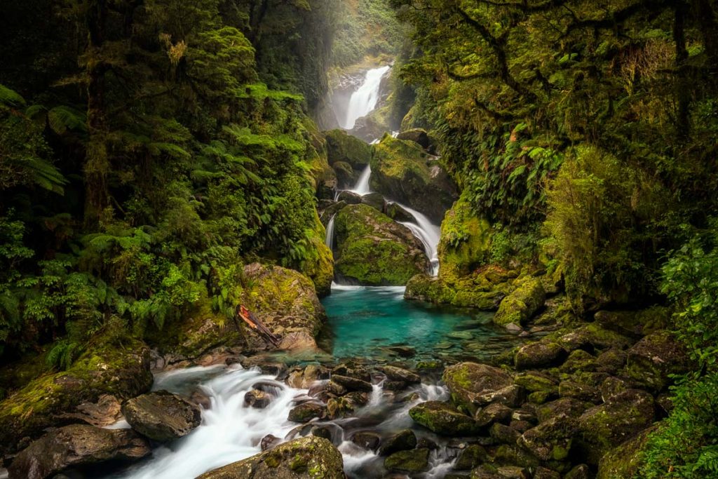 The Ultimate Guide To Backpacking the Milford Track in New Zealand 27 Milford Track 62