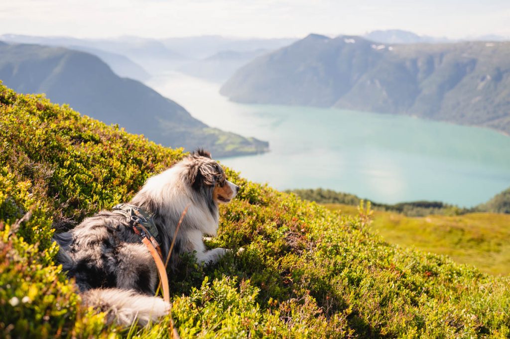 Molden Day Hike Norway 7