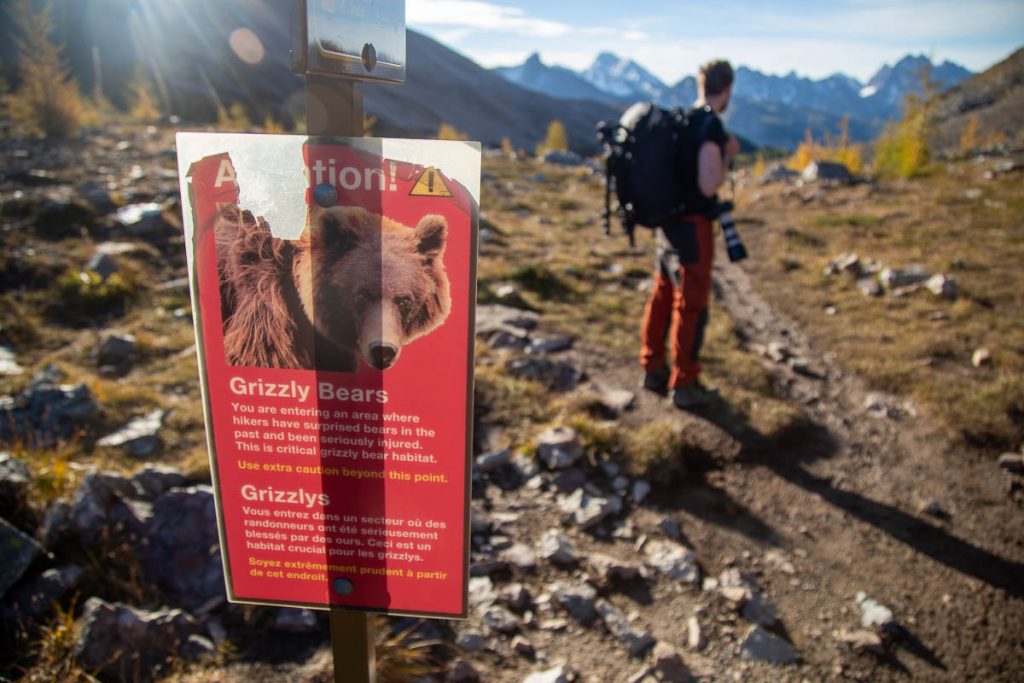 Mount Assiniboine Provincial Park 53