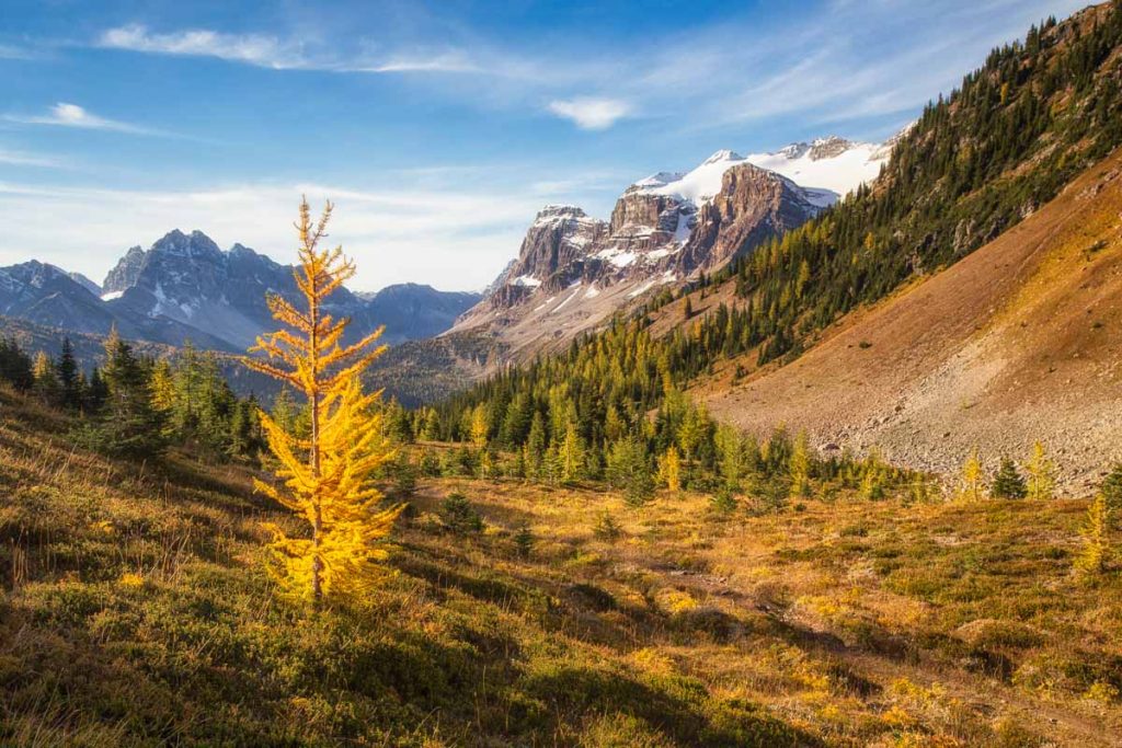 Mount Assiniboine Provincial Park 55