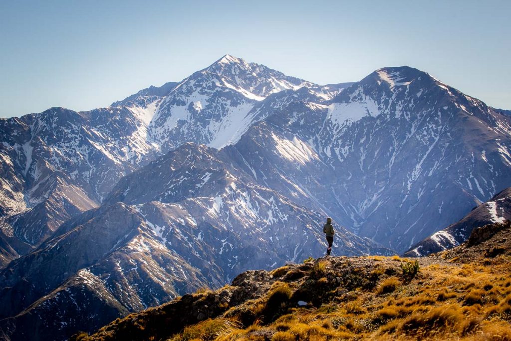14 Best Day Hikes on the South Island of New Zealand 41 Mount Fyffe Kaikoura 7