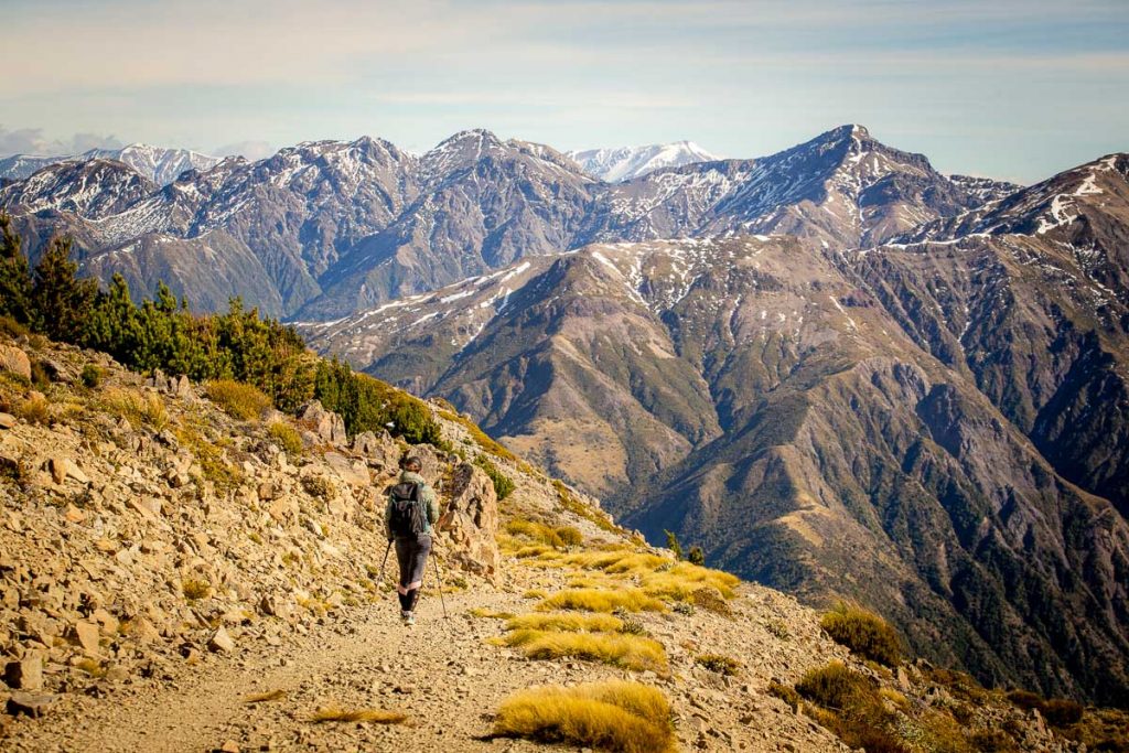 14 Best Day Hikes on the South Island of New Zealand 40 Mount Fyffe Kaikoura 9