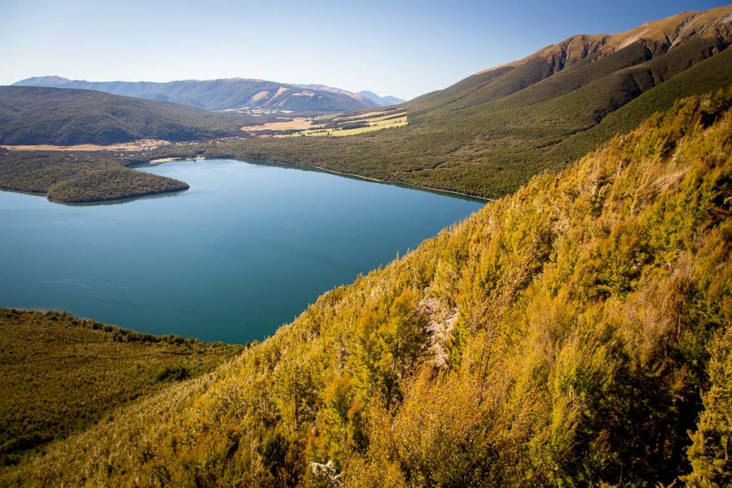 Nelson Lakes National Park 14