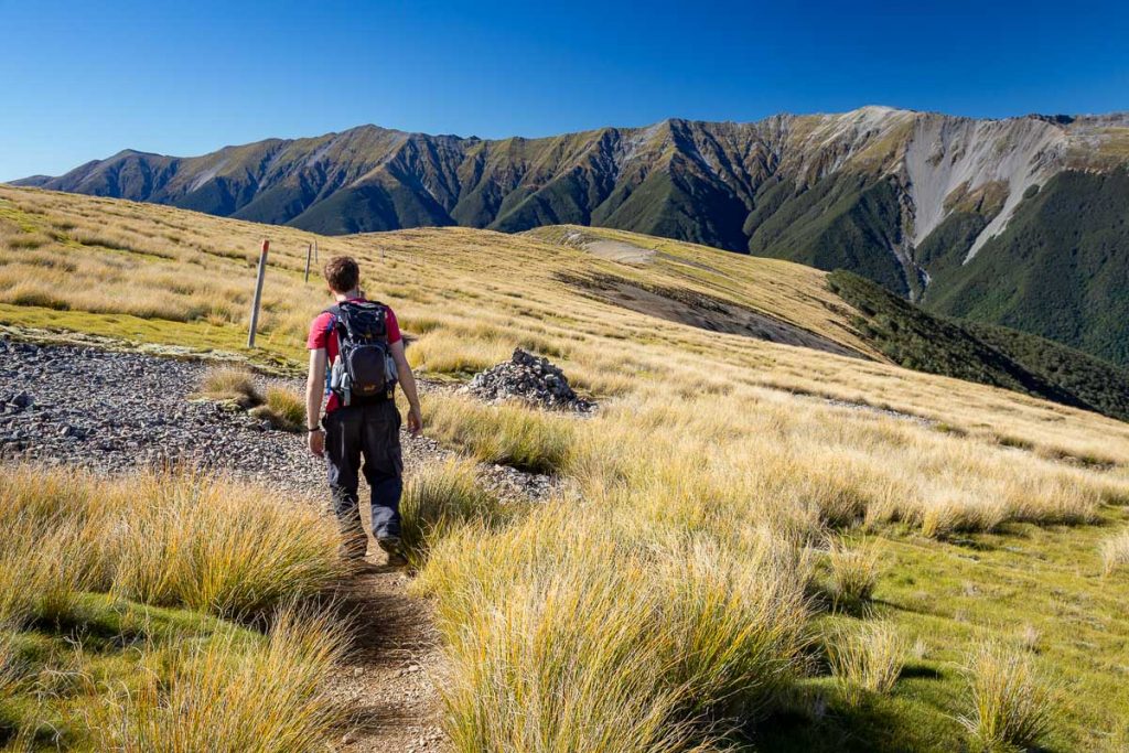 14 Best Day Hikes on the South Island of New Zealand 22 Nelson Lakes National Park 6