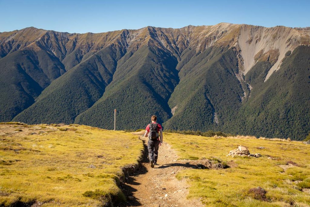 14 Best Day Hikes on the South Island of New Zealand 21 Nelson Lakes National Park 9
