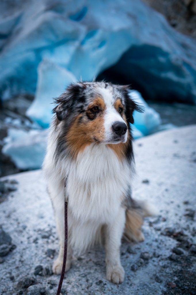 Nigardsbreen Hike 11