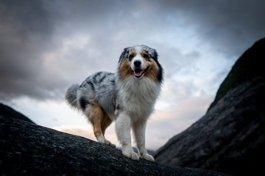 Nigardsbreen Hike 14