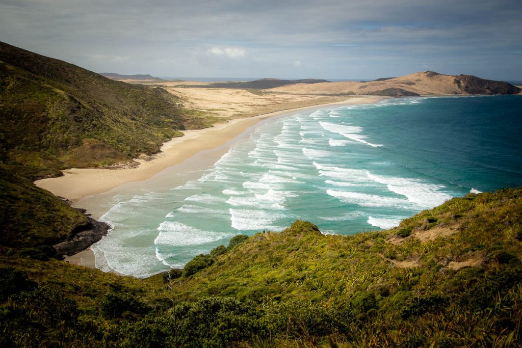10 Awesome Day Hikes on the North Island of New Zealand 13 Northland North Island 11