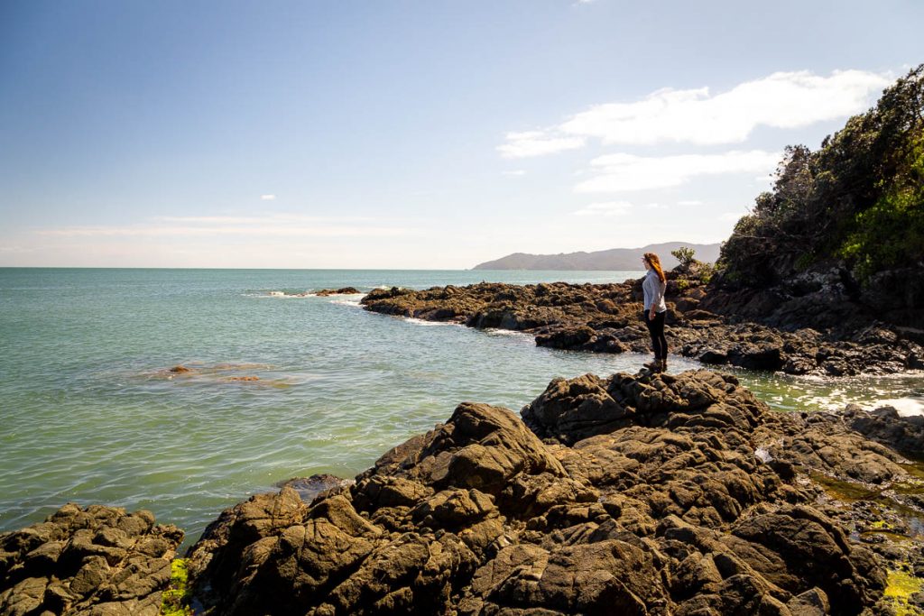 Northland North Island 2