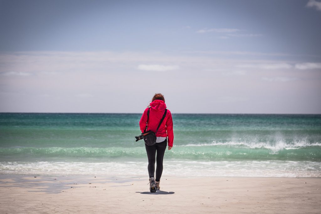 Northland North Island 5