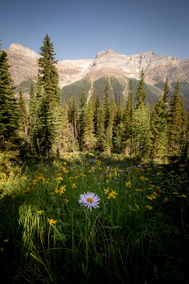 Paradise Valley Sentinel Pass Hike 6