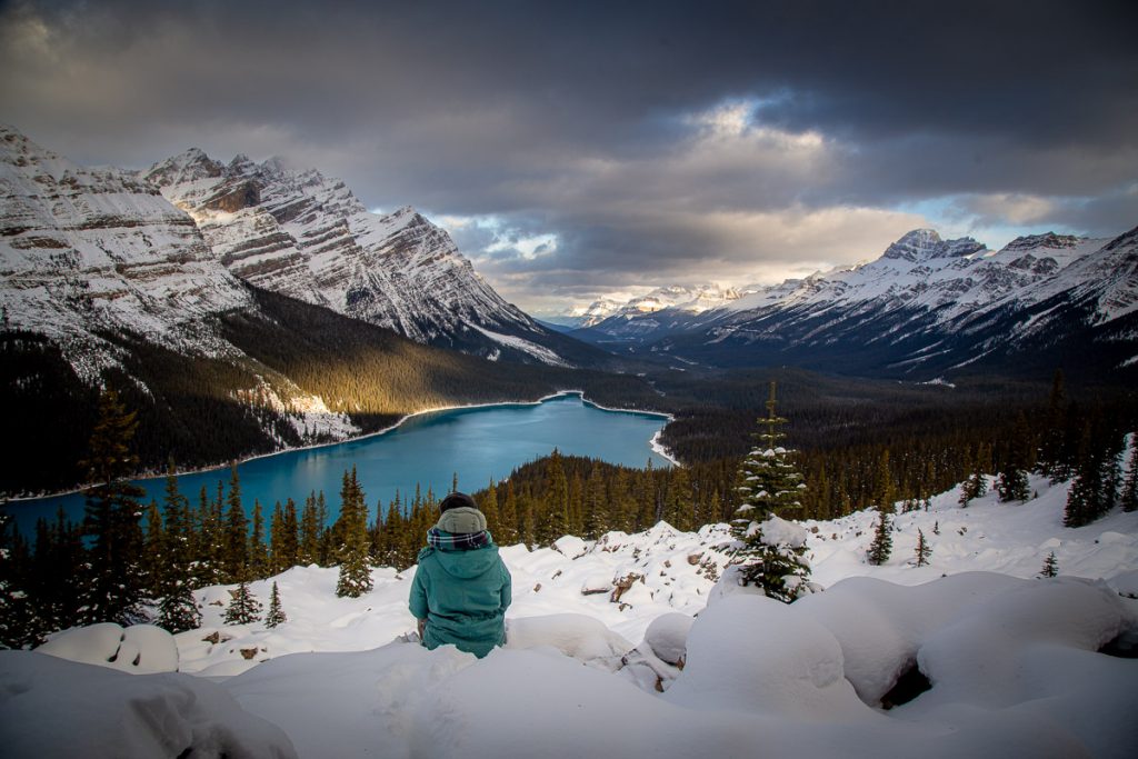 Vancouver to Calgary: An Epic Two Week Road Trip Guide through Canada's Finest Landscapes 4 Peyto Lake 4