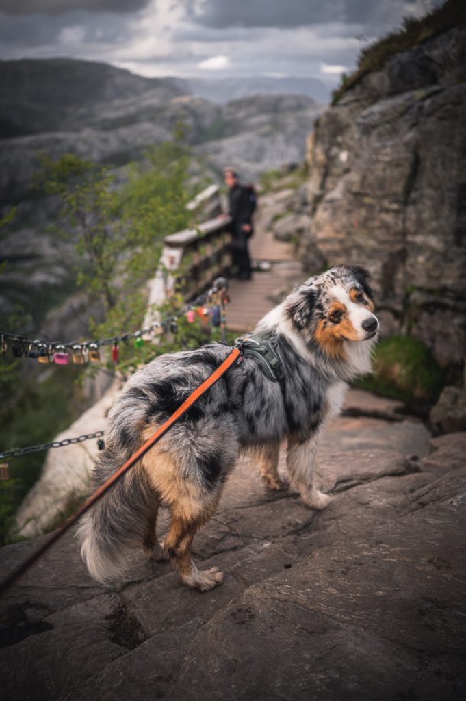 Preikestolen Day Hike 15
