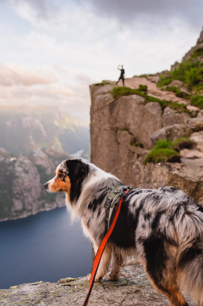 Preikestolen Day Hike 18