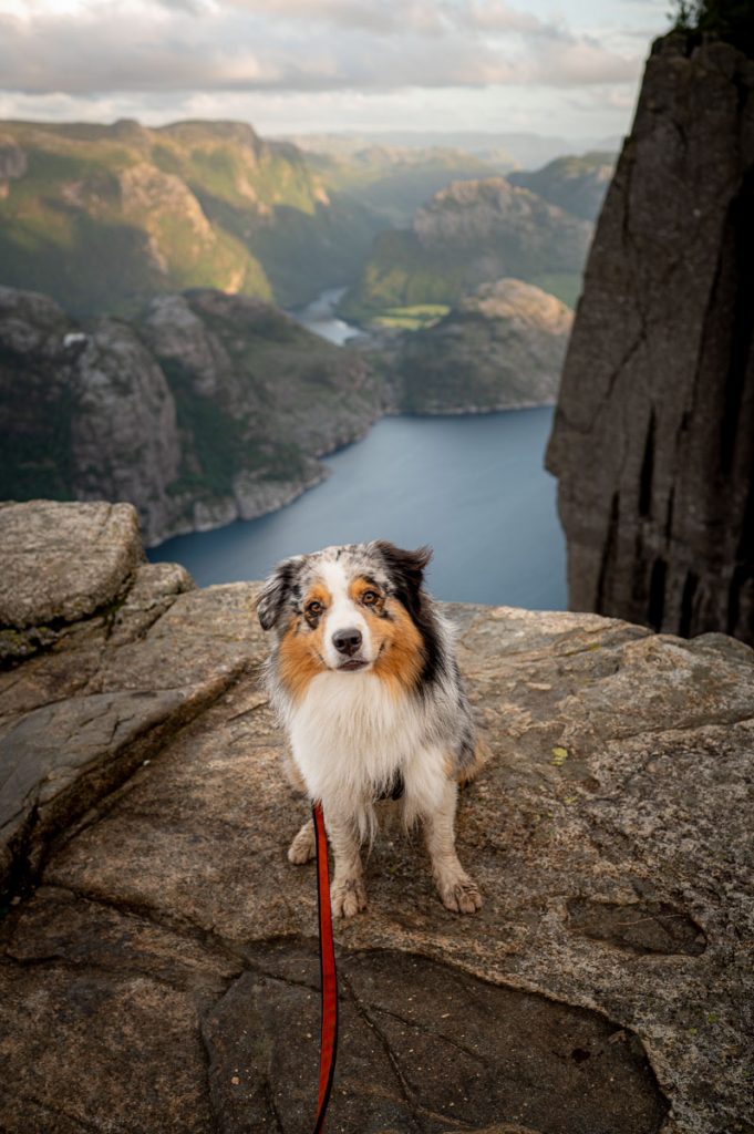 Preikestolen Day Hike 22