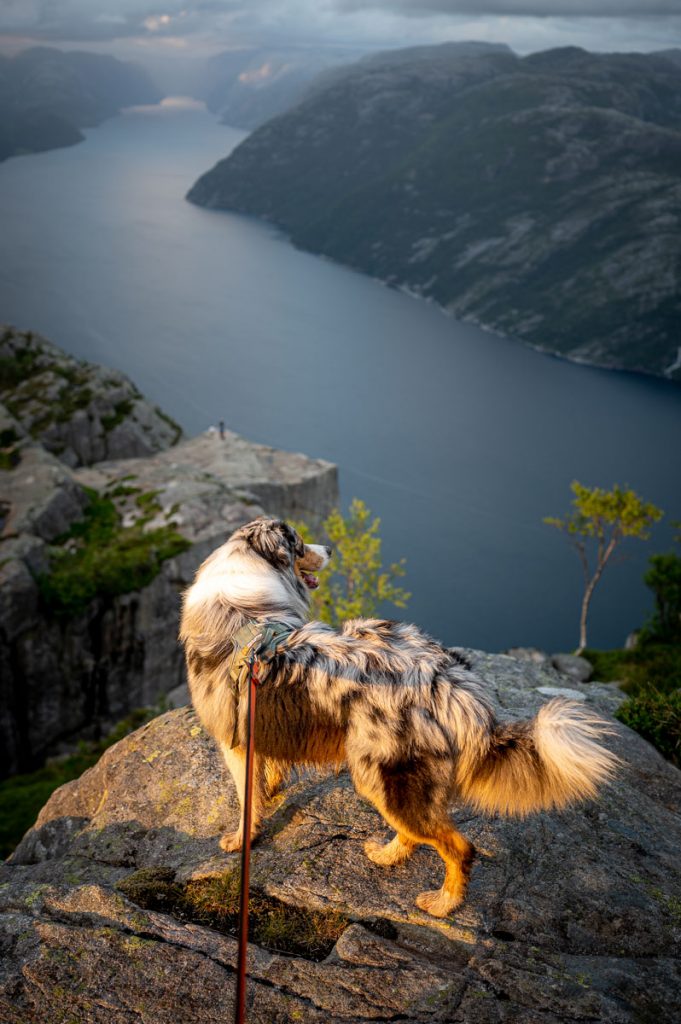 Preikestolen Day Hike 29