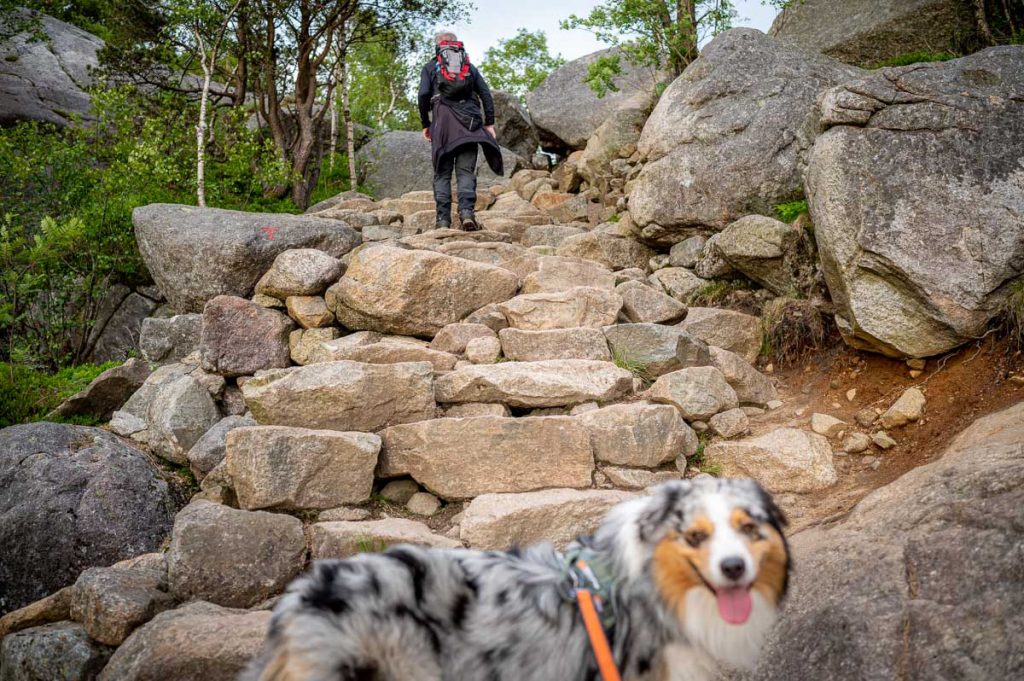 Preikestolen Day Hike 5