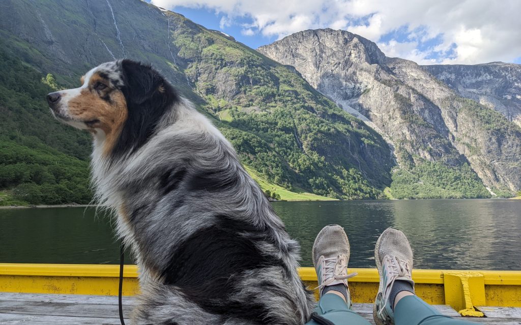 PXL 20220623 150725190 edited