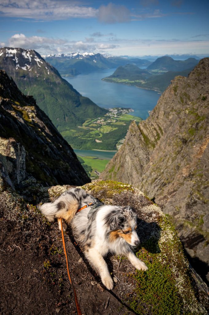 Romsdalseggen Jasper