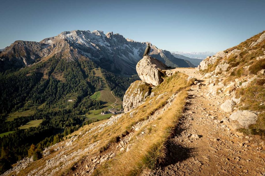 An Epic 3-5 Day Traverse Across The Rosengarten Nature Park In The Italian Dolomites 7 Rosengarten Traverse Rifugio Paolina to Roda De Vael