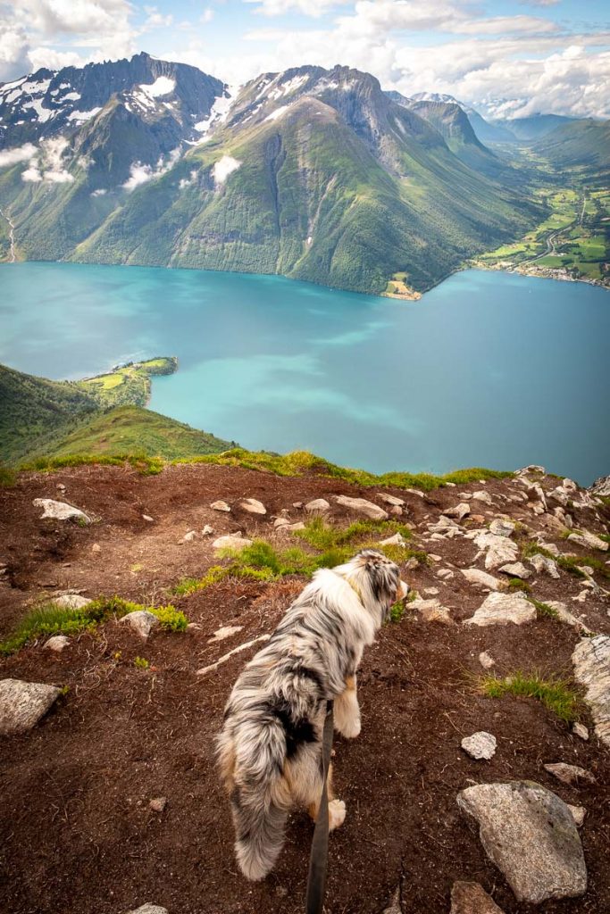 Saksa Day Hike Norway 27