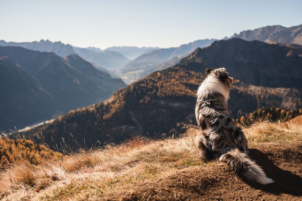 Sassolungo Circuit 3