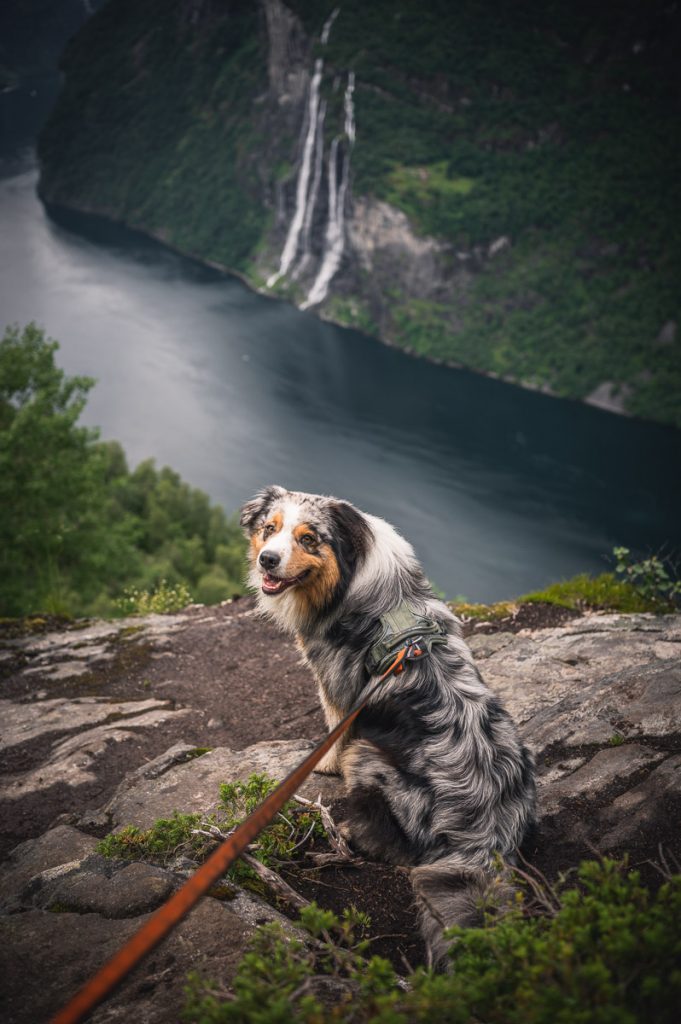 Skagefla Day Hike Norway 11