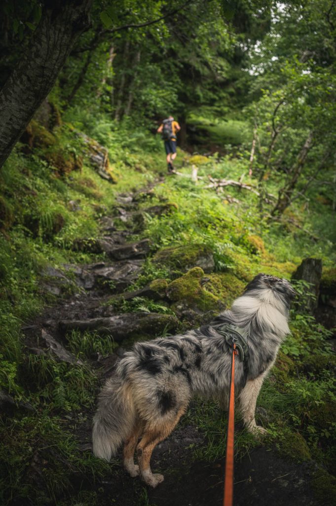 Skagefla Day Hike Norway 7