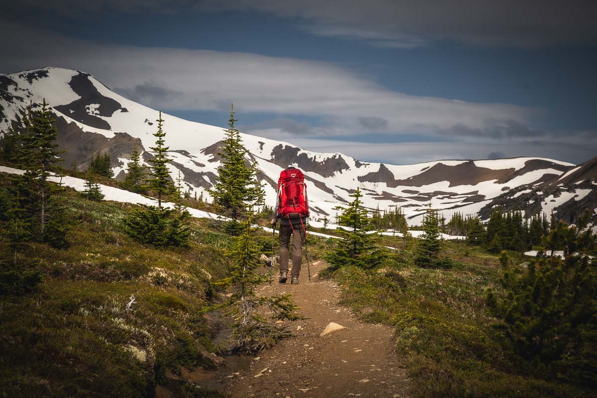 Skyline Trail Jasper National Park 10