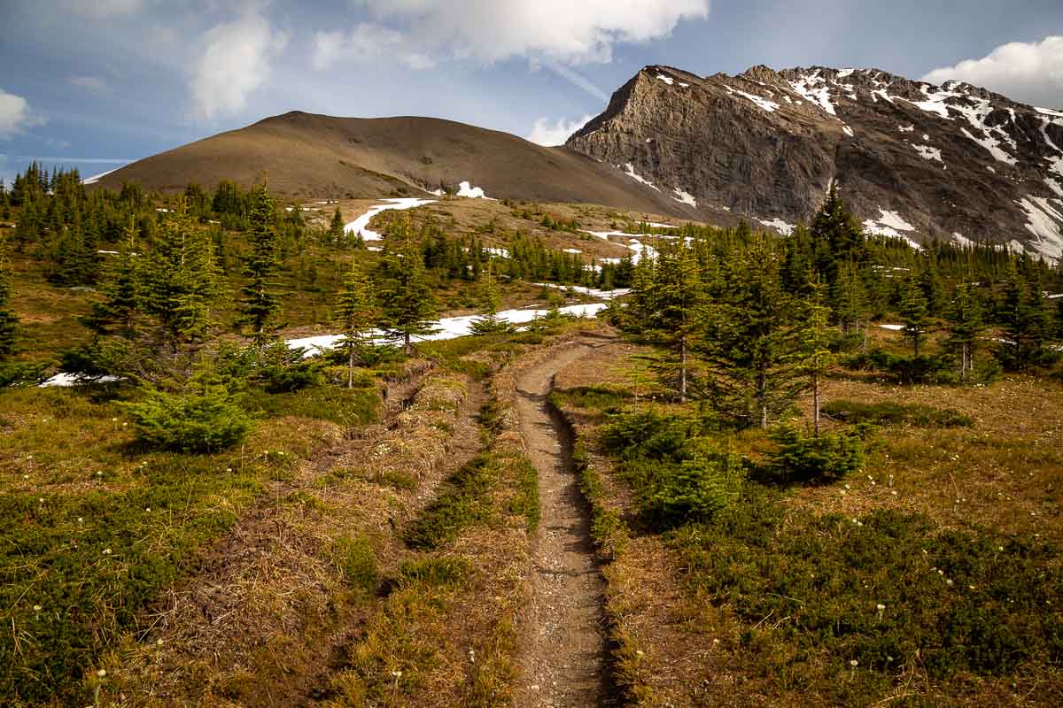 Skyline Trail Jasper National Park 2