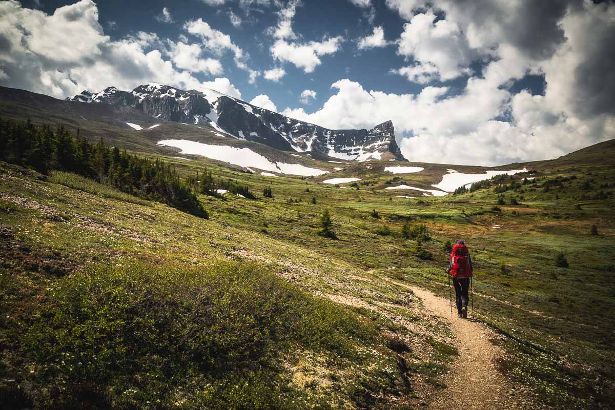 Skyline Trail Jasper National Park 41