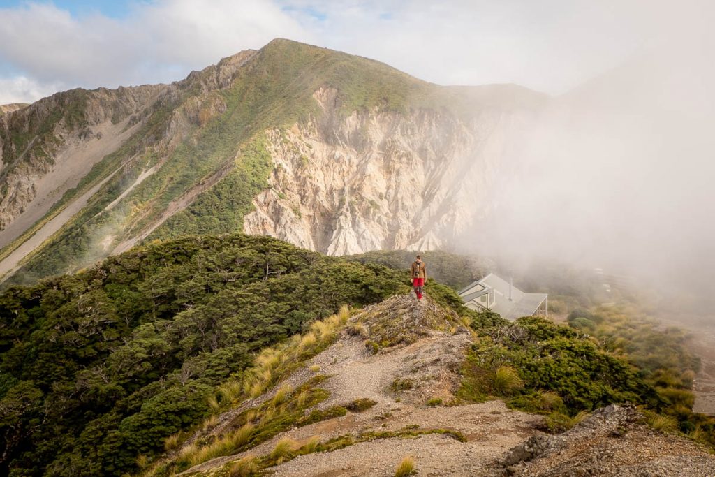 10 Awesome Day Hikes on the North Island of New Zealand 23 Sunrise Hut 1