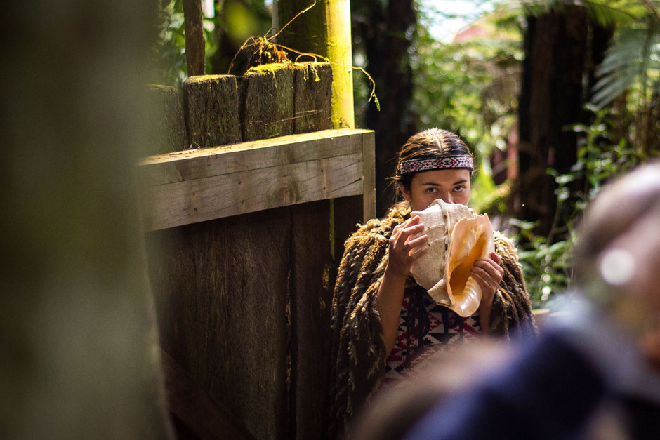 Tamaki Maori Village 8