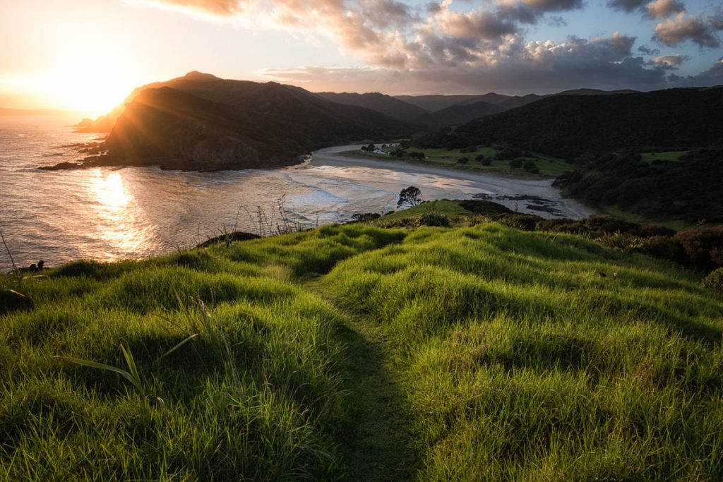 Tapotupotu Campsite 1