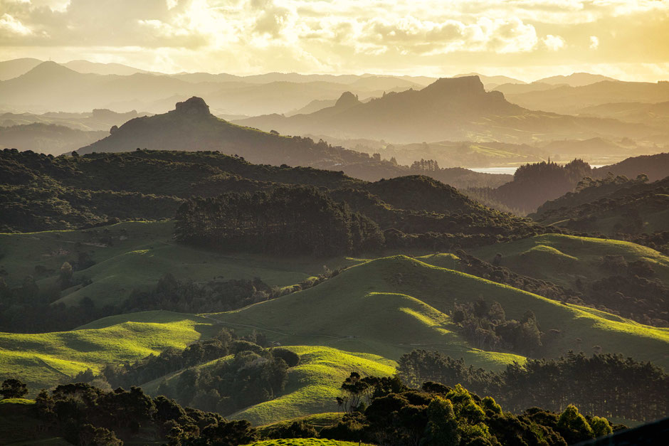 Tauranga Valley Lookout