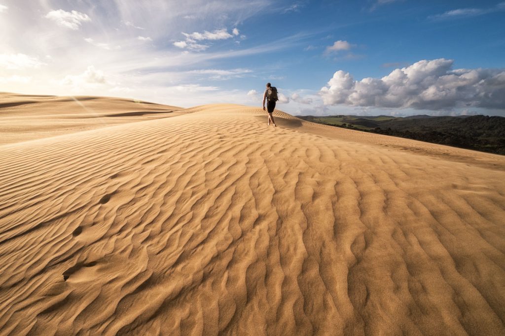 Te Paki Sand Dunes 1