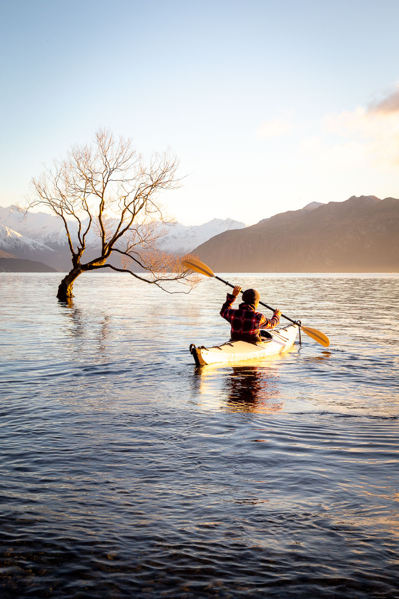New Zealand's North and South Island: Two Week Self Drive Road Trip Itinerary 39 That Wanaka Tree 10