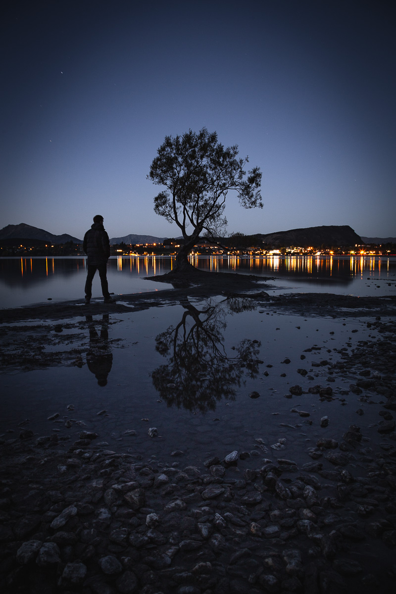 New Zealand's North and South Island: Two Week Self Drive Road Trip Itinerary 38 That Wanaka Tree 5