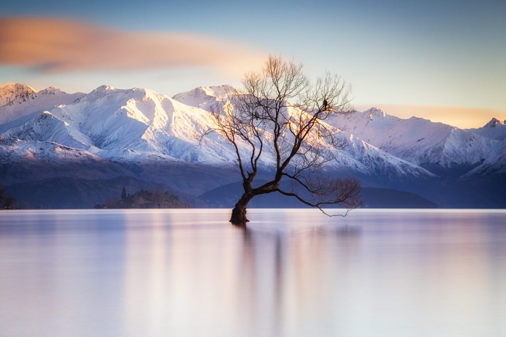 18 Most Photogenic Places on The South Island of New Zealand 19 That Wanaka Tree 8