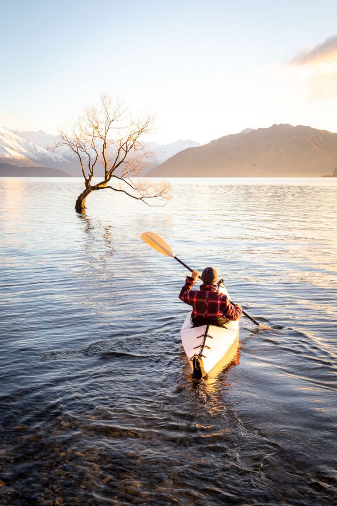 That Wanaka Tree 9