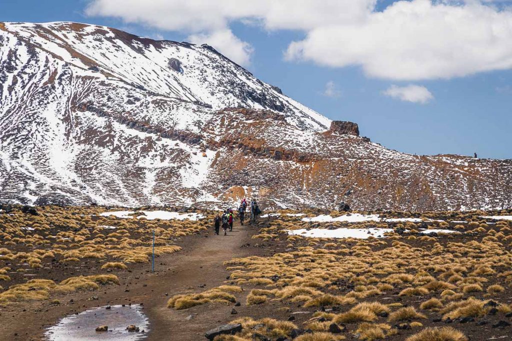 Tongariro Northern Circuit 3