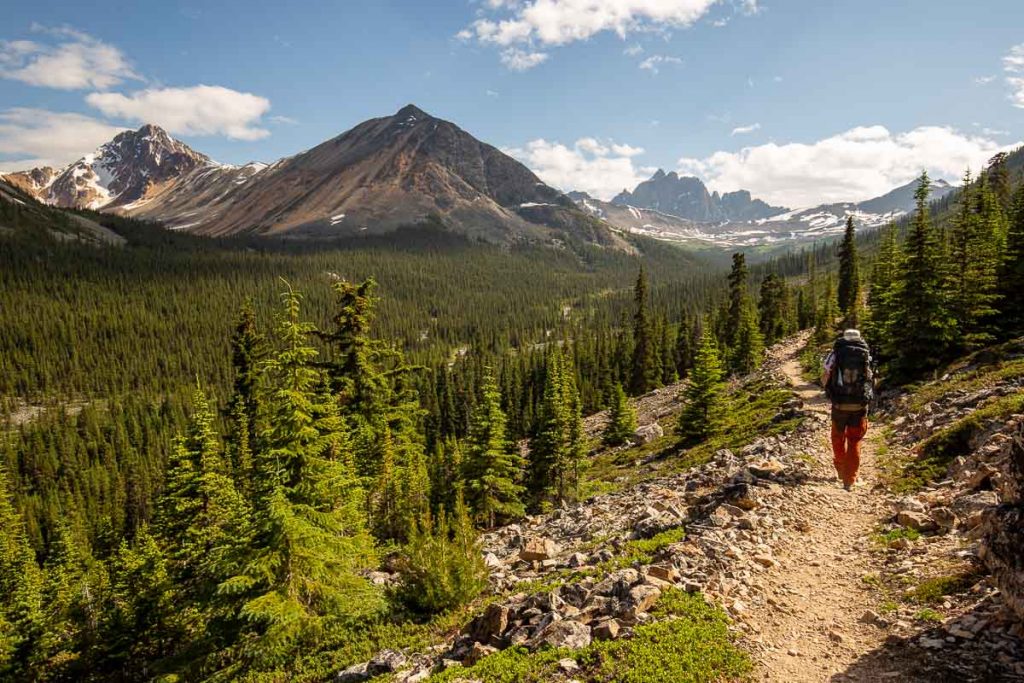 An Epic Backpacking Guide To Tonquin Valley Trail In Jasper National Park 34 Tonquin Valley Jasper NationalPark 1