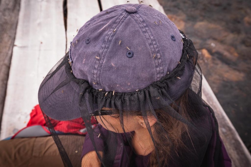 An Epic Backpacking Guide To Tonquin Valley Trail In Jasper National Park 37 Tonquin Valley Jasper NationalPark 22