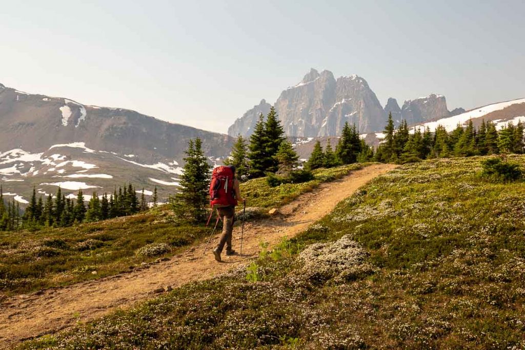 An Epic Backpacking Guide To Tonquin Valley Trail In Jasper National Park 13 Tonquin Valley Jasper NationalPark 8